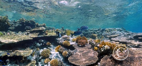 February 2026: Scenery - Joint Second