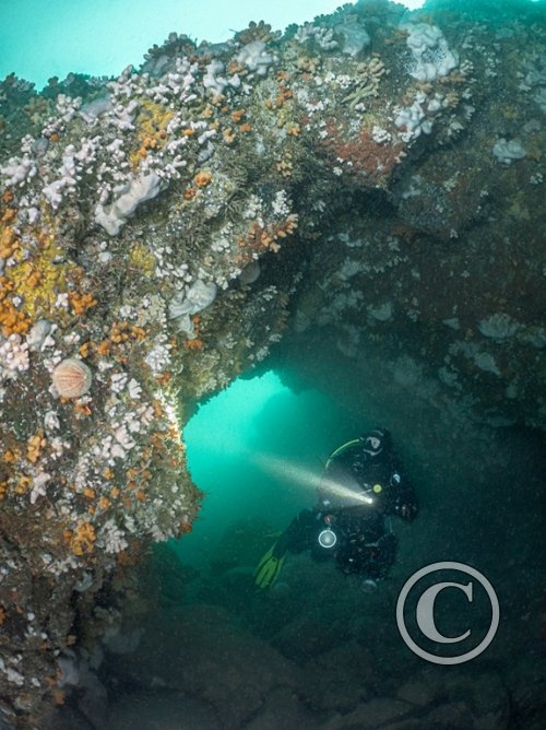 February 2026: Scenery - Joint Second