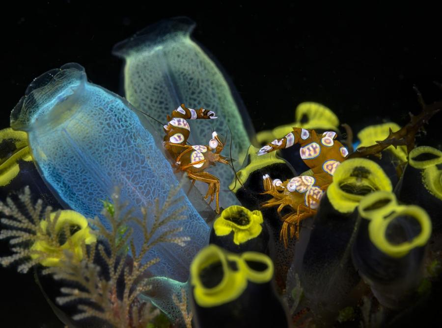 2026 Competition Winners