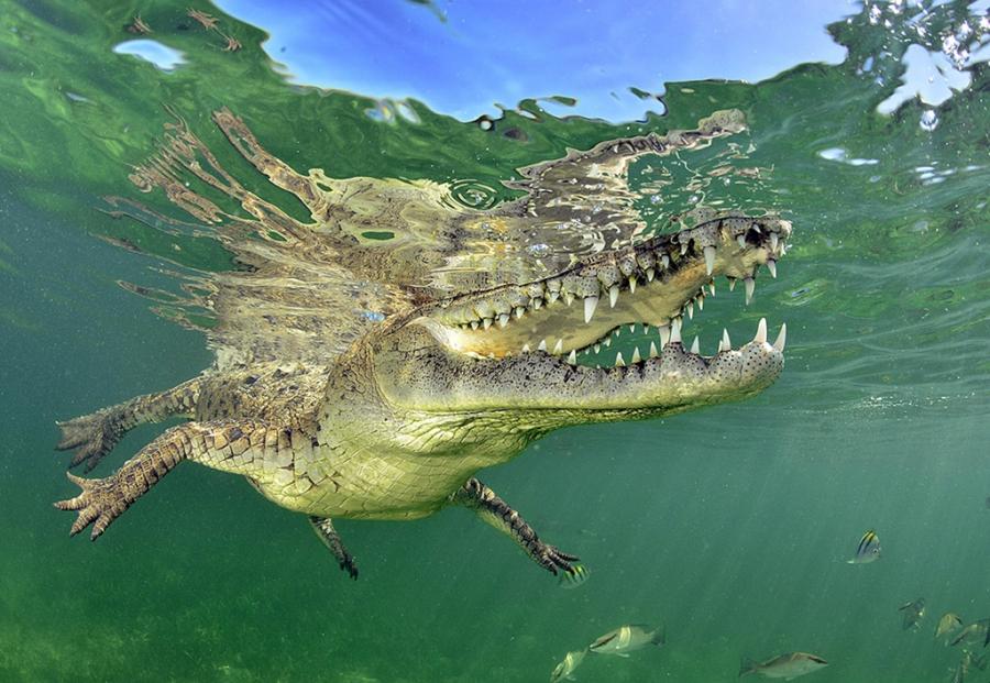 2026 Competition Winners