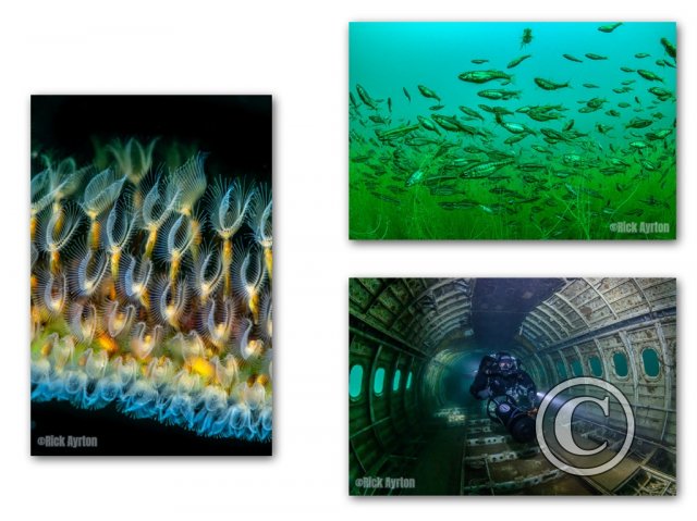 May 2026: Underwater Excellence  - Joint Third