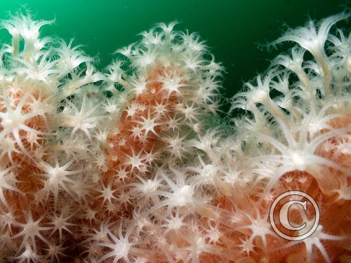 2026 Splash In: Macro - Third