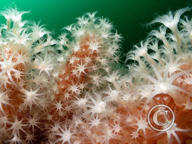 2026 Splash In: Macro - Third
